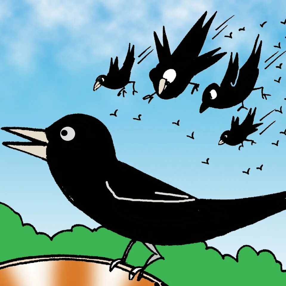 Crow raven разница. Difference between raven and crow. Как по английски пишется ворона. Ворон на английском. Crow meaning.