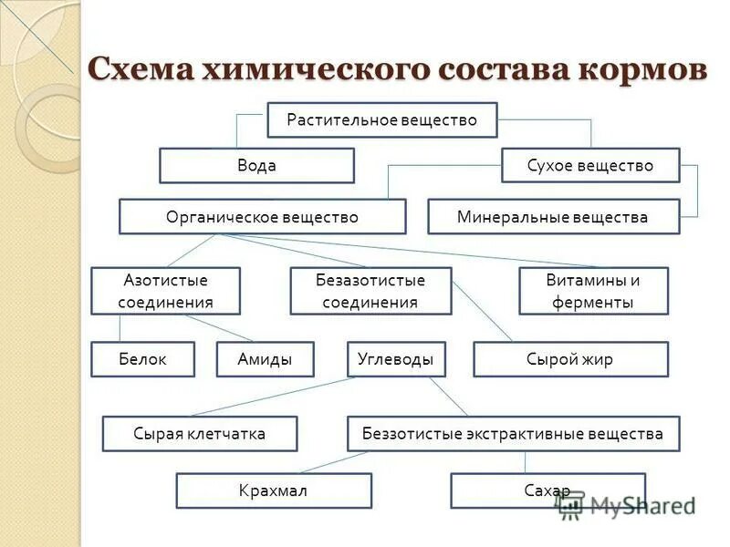 Основные группы растительных кормов. Схема химического состава корма. Начертите схему химического состава кормов. Схема химического анализа растительных кормов.