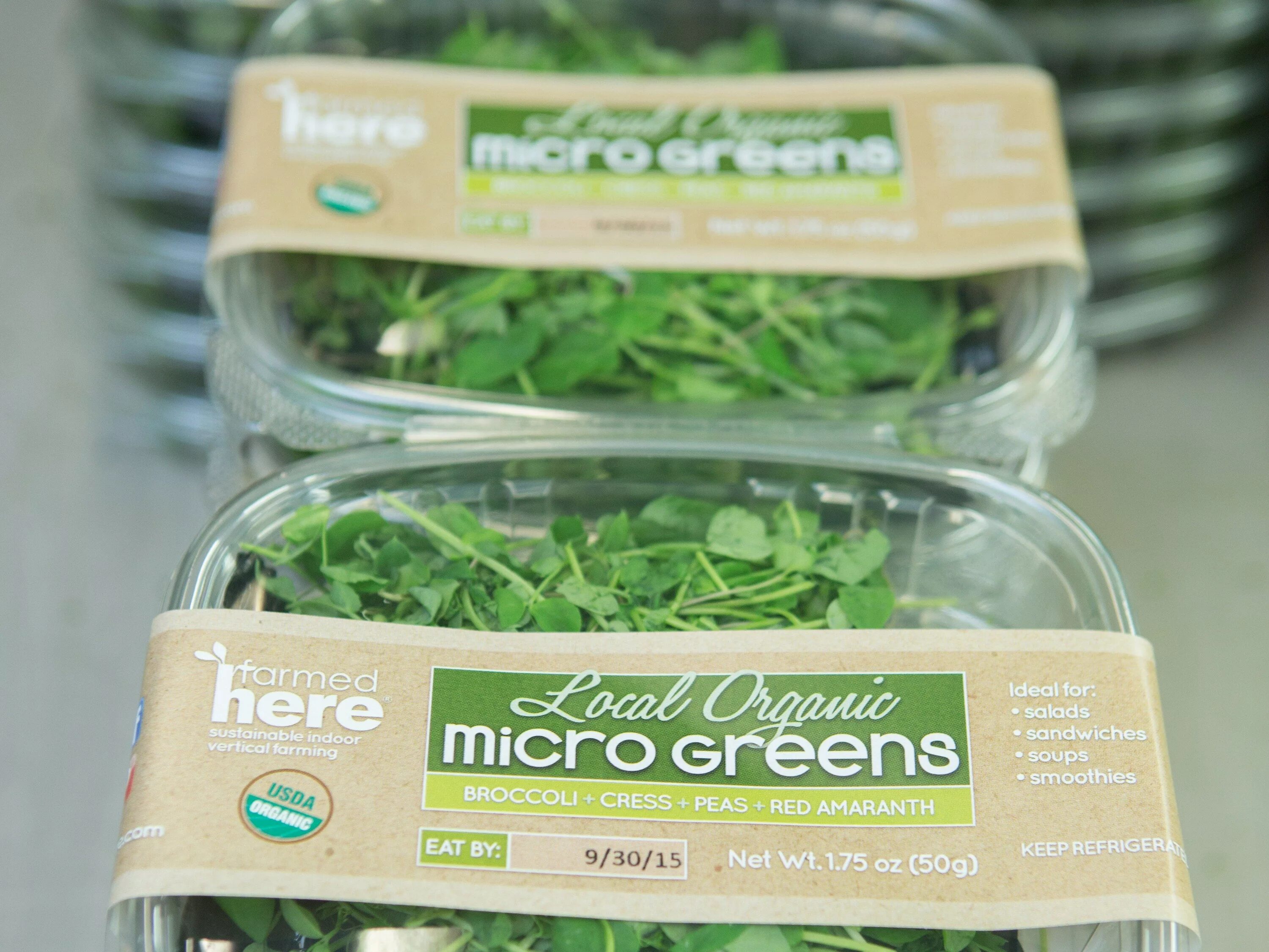 Micro Green микрозелень. Ферма микрозелень (microgreens).. Гидропоника микрозелень. Микрозелень индау.