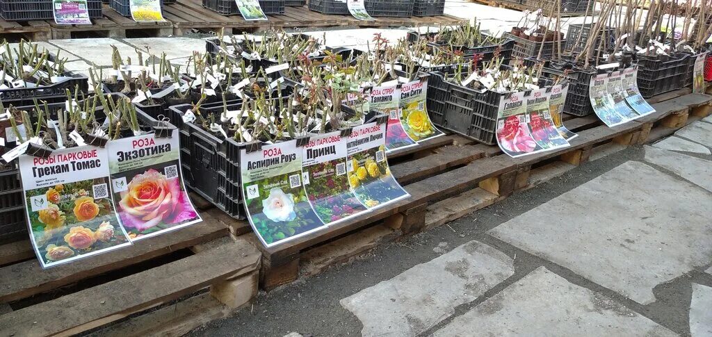 зеленый сад уральский