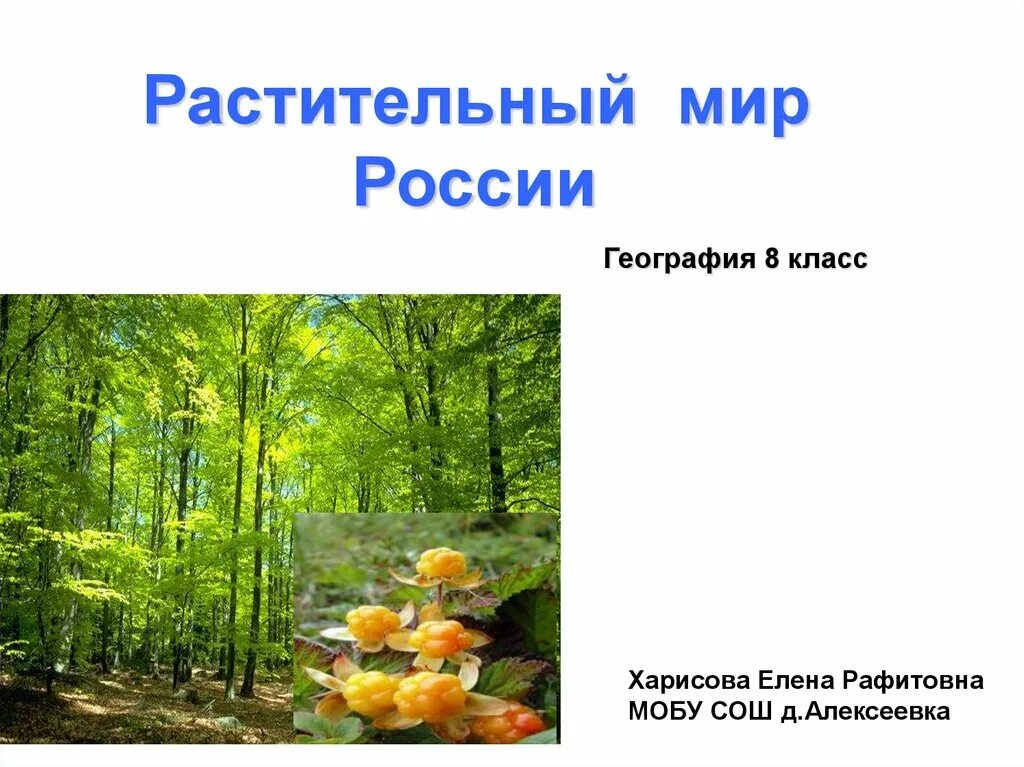 Презентация животный мир россии 8 класс география. Растительный мир география. Растительный мир презентация. Растительный мир России. Растительный мир России презентация.