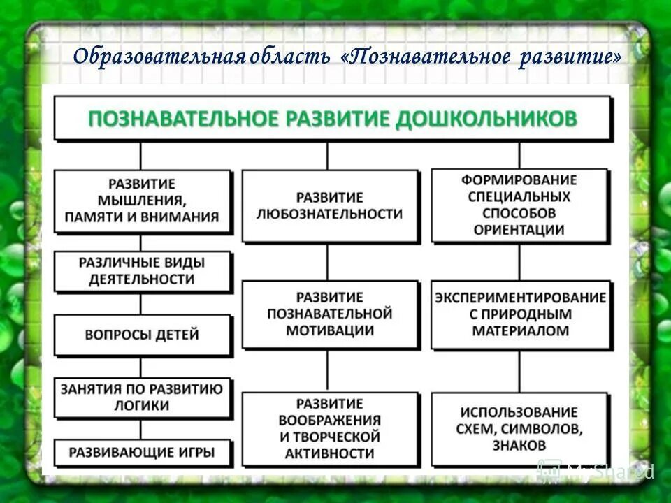 образовательная область познавательное развитие. области развития. уровни познавательного развития дошкольников. какие занятия относятся к познавательному развитию. задачи развития области познавательного развития.