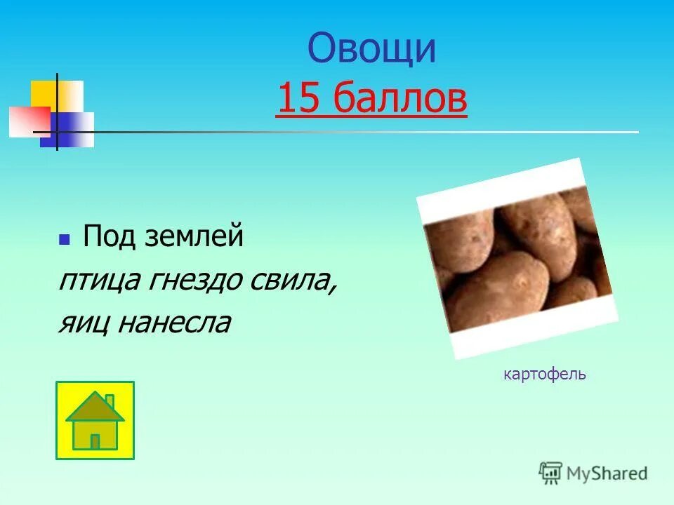 гнездо для птиц. яйца сорокопута жулана. под землёй птица гнездо свила яиц нанесла ответ на загадку. белая трясогузка гнездо. отгадка к загадке под землёй птица гнездо свила яиц нанесла.