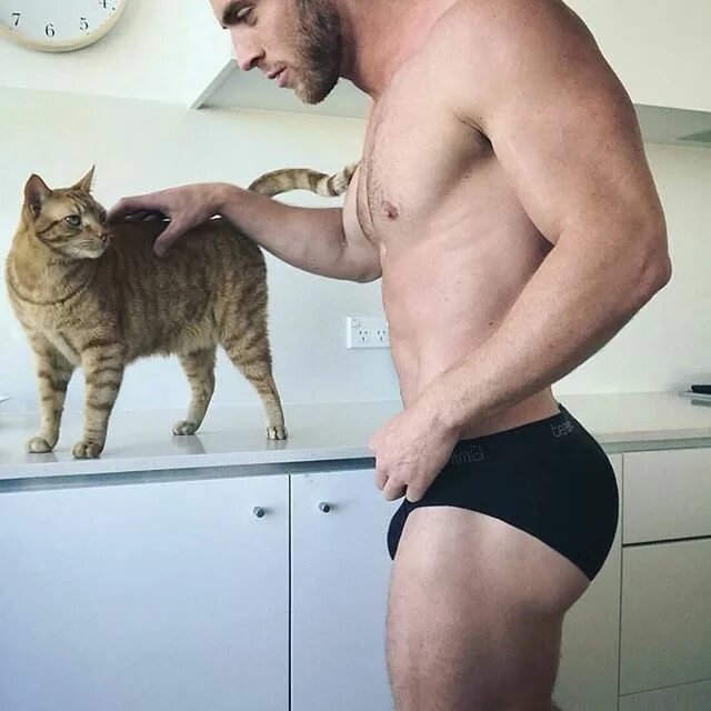 Posts with tags Gays, cat - gollum.space