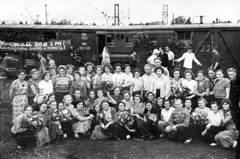 Целина 1954