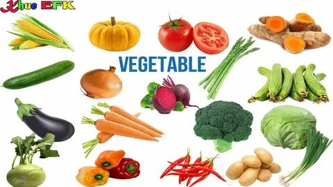 Vegetables meaning