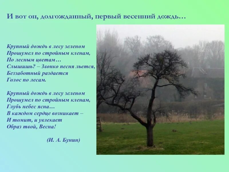 Звонко песня раздается. Бунин весенний дождь. Бунин крупный дождь в лесу зеленом. Презентация на тему весенний дождь. Бунин крупный дождь в лесу зеленом стих.