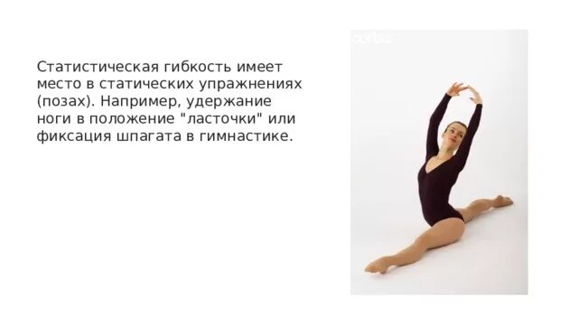 Гибкость цитаты. Статистические упражнения на гибкость. динамическая и статическая гибкость. статические упражнения на гибкость. статистические упражнения в гимнастике.