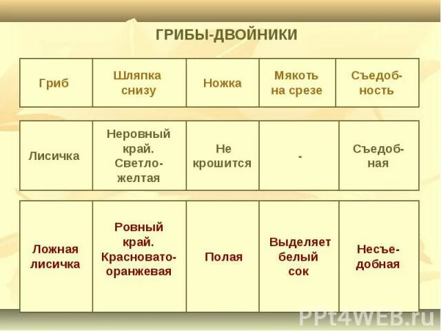 Съедобный гриб опасный двойник. Грибы двойники окружающий мир 3. Ядовитые грибы опята. Опенок осенний гриб двойник грибы двойники. Несъедобные грибы двойники.