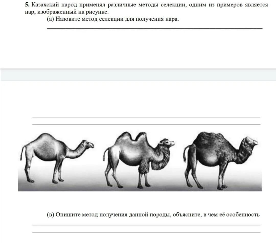 Самых различных способов один