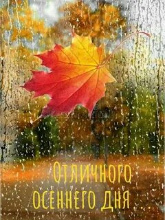 Осень бьется в окно дождем оригинал