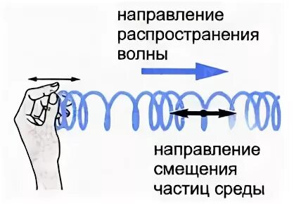 Поперечная волна причина форма возникновение пример Картинки ВДОЛЬ НАПРАВЛЕНИЯ РАСПРОСТРАНЕНИЯ ВОЛНЫ