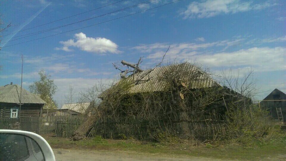 Апрель выселки