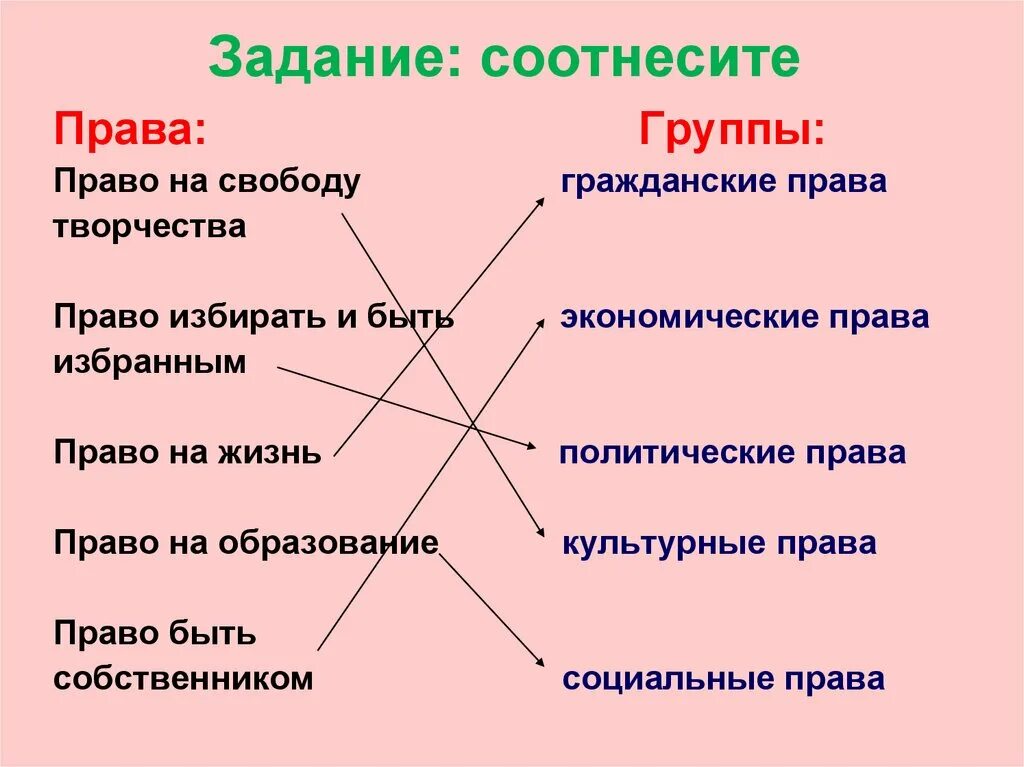 Соотнесите виды