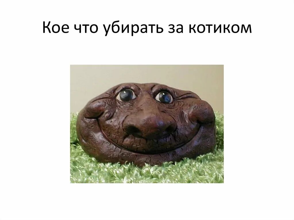 Эй ты какашка