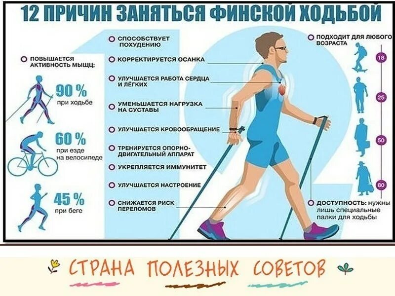 палки для скандинавской ходьбы подобрать по росту. палки для скандинавской ходьбы на рост 172. как подбирать палки для скандинавской ходьбы правильно. как подобрать длину палок для скандинавской ходьбы по росту таблица. как подбирать палки для скандинавской ходьбы правильно.