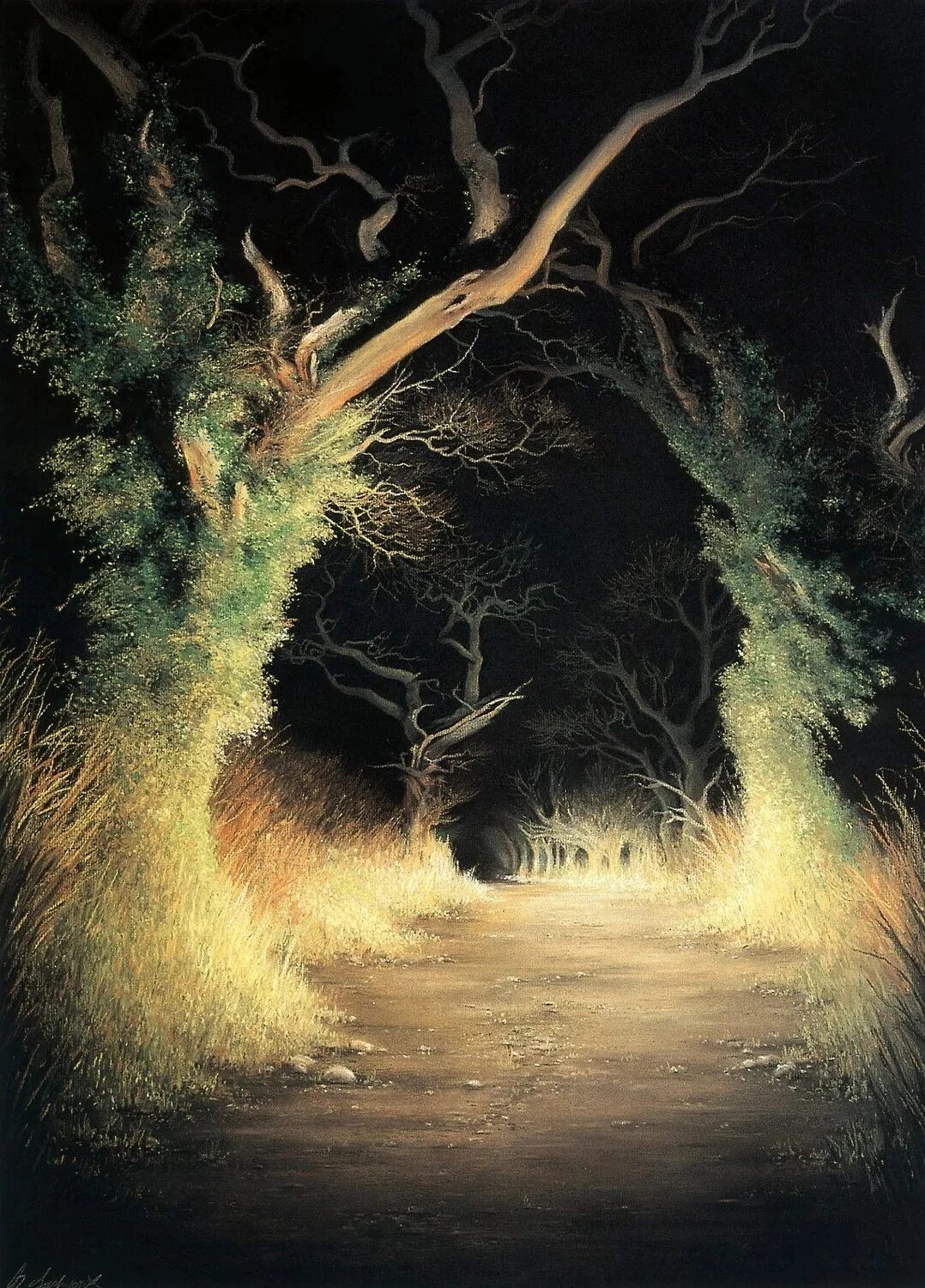Sudworth, Anne художник. Картина свет. Загадочный свет. Мрачный лес. Дерево освещенное луной