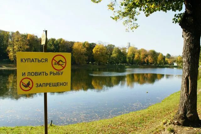 Рыбу ловить купаться. Купаться и рыбалка запрещено. рыбалка запрещена табличка. таблички купаться ловить рыбу запрещено. ловля рыбы запрещена.