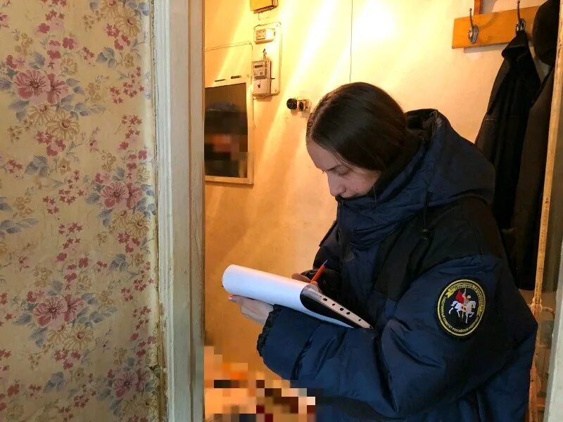 Скр подглядывание