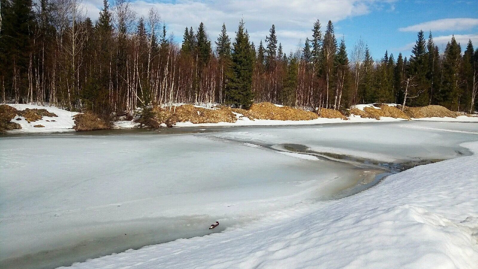 Где вскрылась река. Река Вижай. Ледоход Лена. Вятка река зима. Река Лена весной.