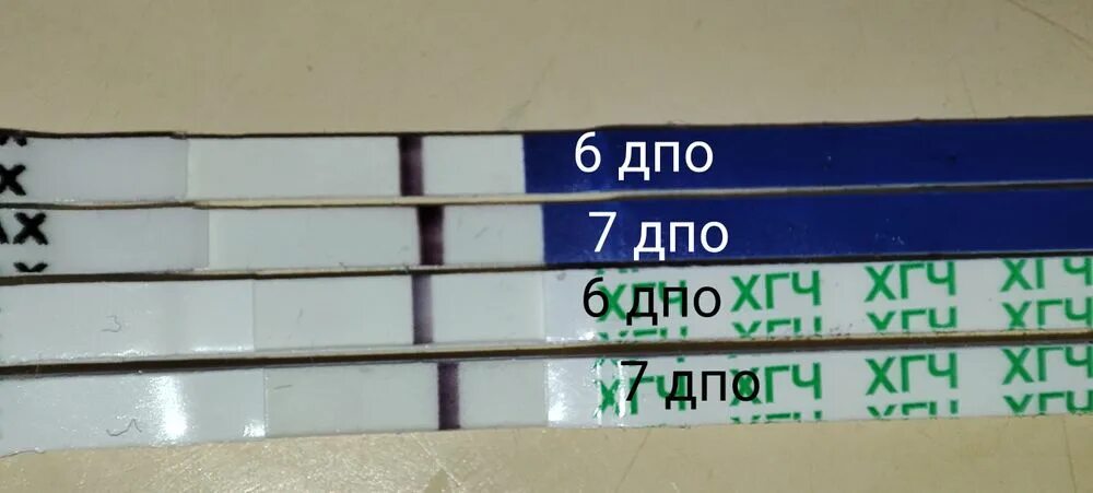 8 дпо тянет низ. 6 день после овуляции. тестомания на 6 дпо. 10 дпо тянет поясницу.