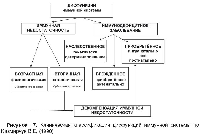 Нарушения функций иммунной системы. Нарушение функций иммунитета. дисфункция иммунной системы. нарушение функционирования иммунной системы. нарушения иммунитета схема.