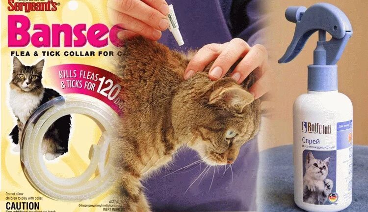 Котам от блох что лучше. Спрей от блох для кошек. средство для выведения блох для котят. котам от блох.