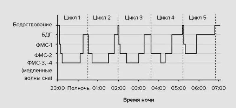 Следующем цикле. 2 Вида сна. Качество сна какое бывает. Фазы сна ФМС ФБС. ФМС глубокий сон.