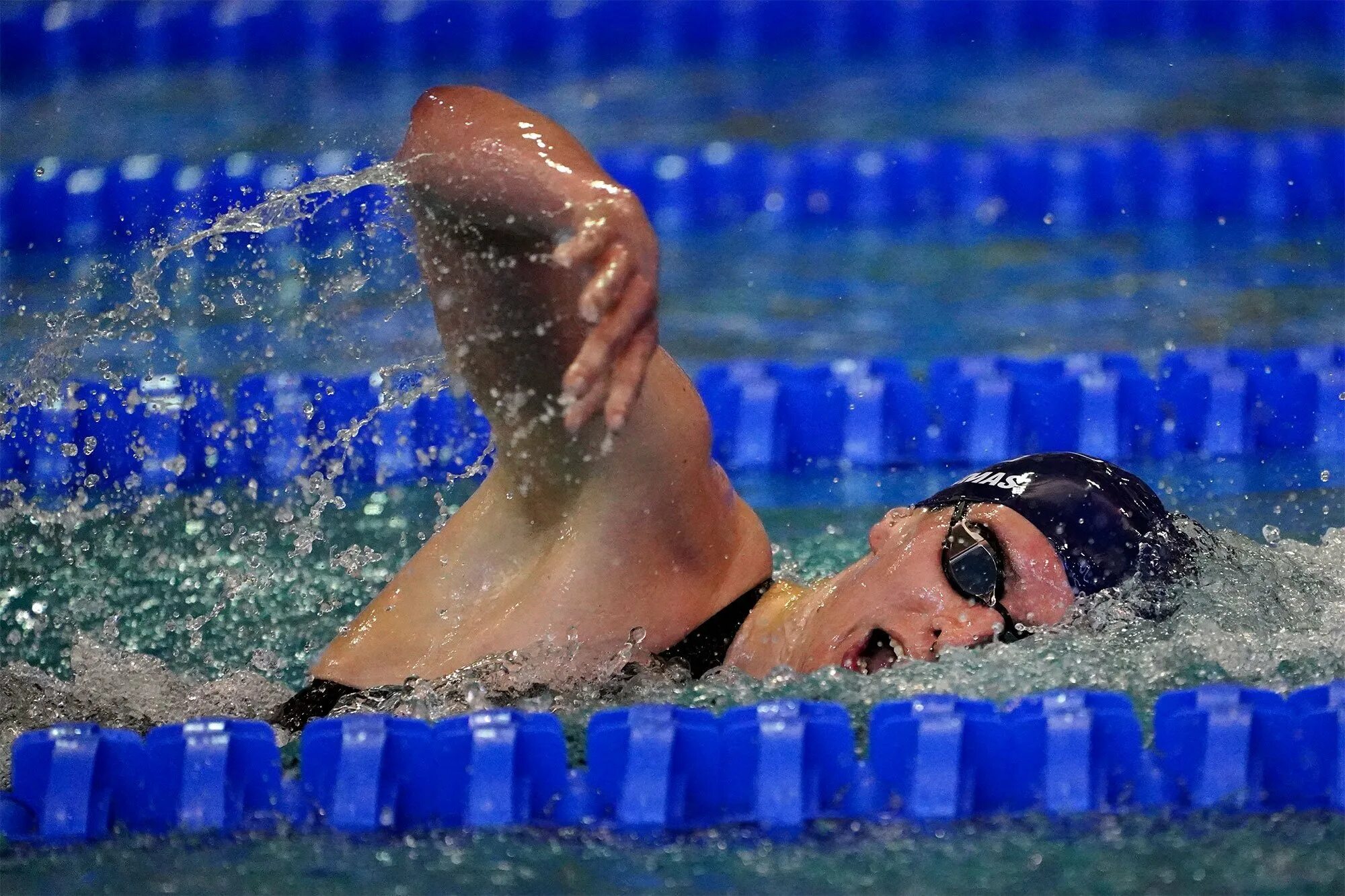 Daisy the swimmer