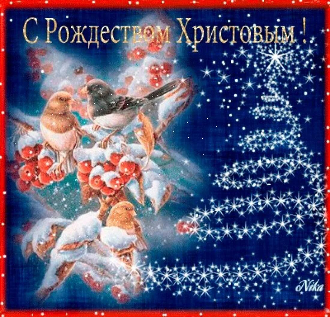 счастливого рождество праздников. рождество. тик-ток открытки с рождеством христовым. поздравление с католическим рождеством.