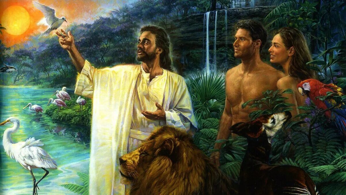 Сотворение евы из ребра адама. Бог создал человека из земли. Бог создал человека из земли. Сотворение адама и евы. Сотворение адама и евы картина.