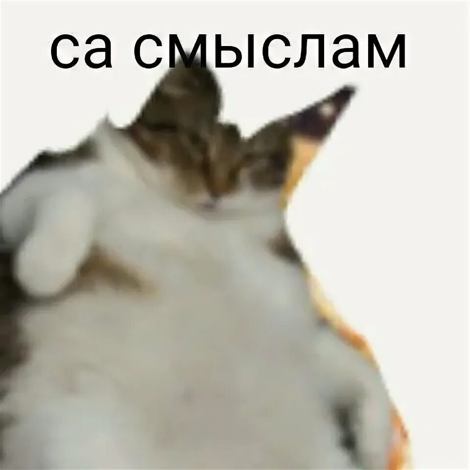Аче всмысле в меме (49 фото)