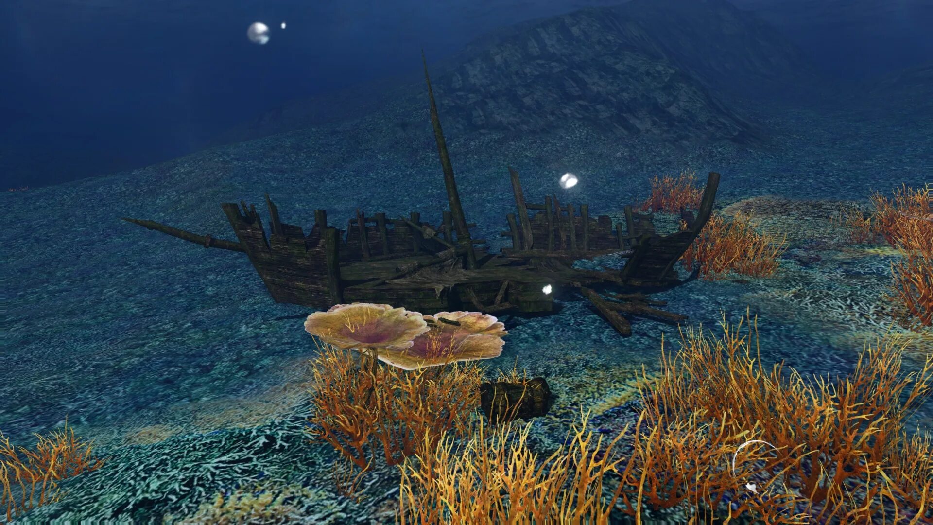 Archeage кракен на карте. Фото настоящего кракена. Левиафан архейдж кракен. Места респа кракена в archeage карта. Место респа кракена.