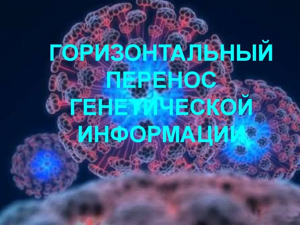 Горизонтальный перенос генов. Горизонтальный перенос генов у бактерий. Горизонтальный перенос генов примеры. Латеральный перенос генов. Наследственный перенос