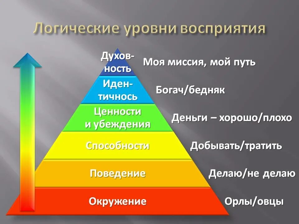 Первый логический уровень. Пирамида логтческиху ровней.