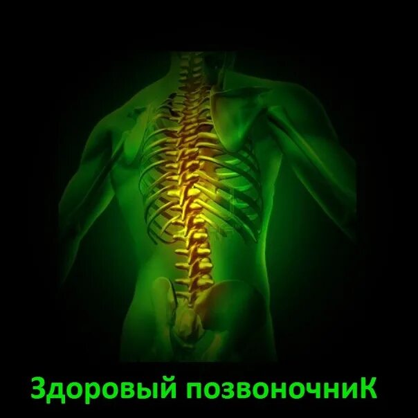 Здоровый позвонок ярославль. Здоровый позвоночник. здоровая спина. здоровый позвоночник картинки. здоровые суставы и позвоночник.