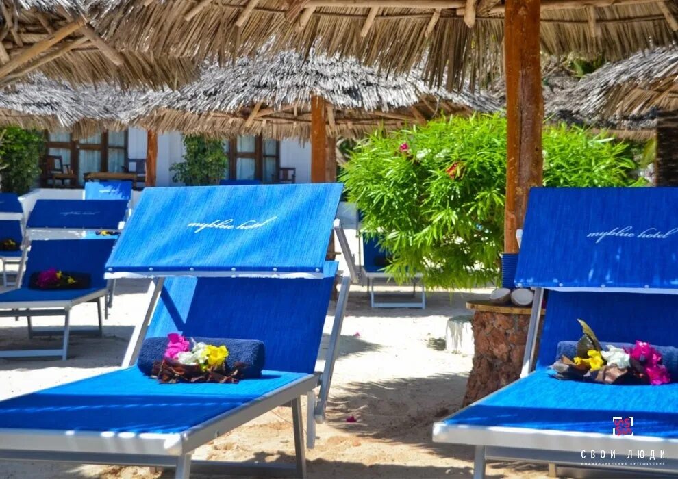 My blue hotel zanzibar. My blue nungwi beach resort. My blue nungwi beach resort 4. My blue hotel 4*. My blue 4.