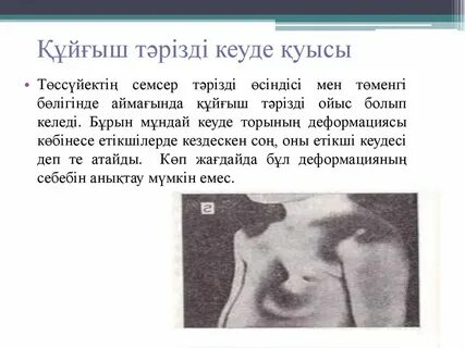 Дик пен киска бірге