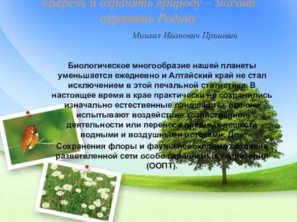 Сочинение на тему охраняйте природу