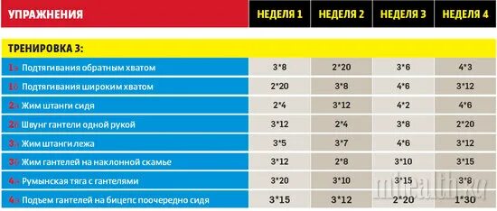 Набор массы гантелями дома. Таблица упражнений с гантелями. План тренировок с гантелей. Программа тренировок со штангой. График занятий с гантелями.