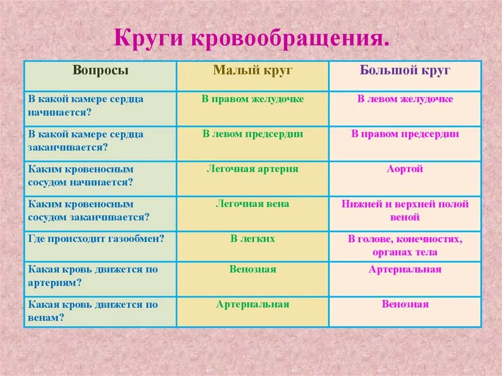 Таблица малого круга кровообращения. Круги кровообращения таблица 8 класс. Большой круг и малый круг кровообращения таблица. Таблица круги кровообращения 8 класс биология. Признаки для сравнения круги кровообращения малый круг большой круг.