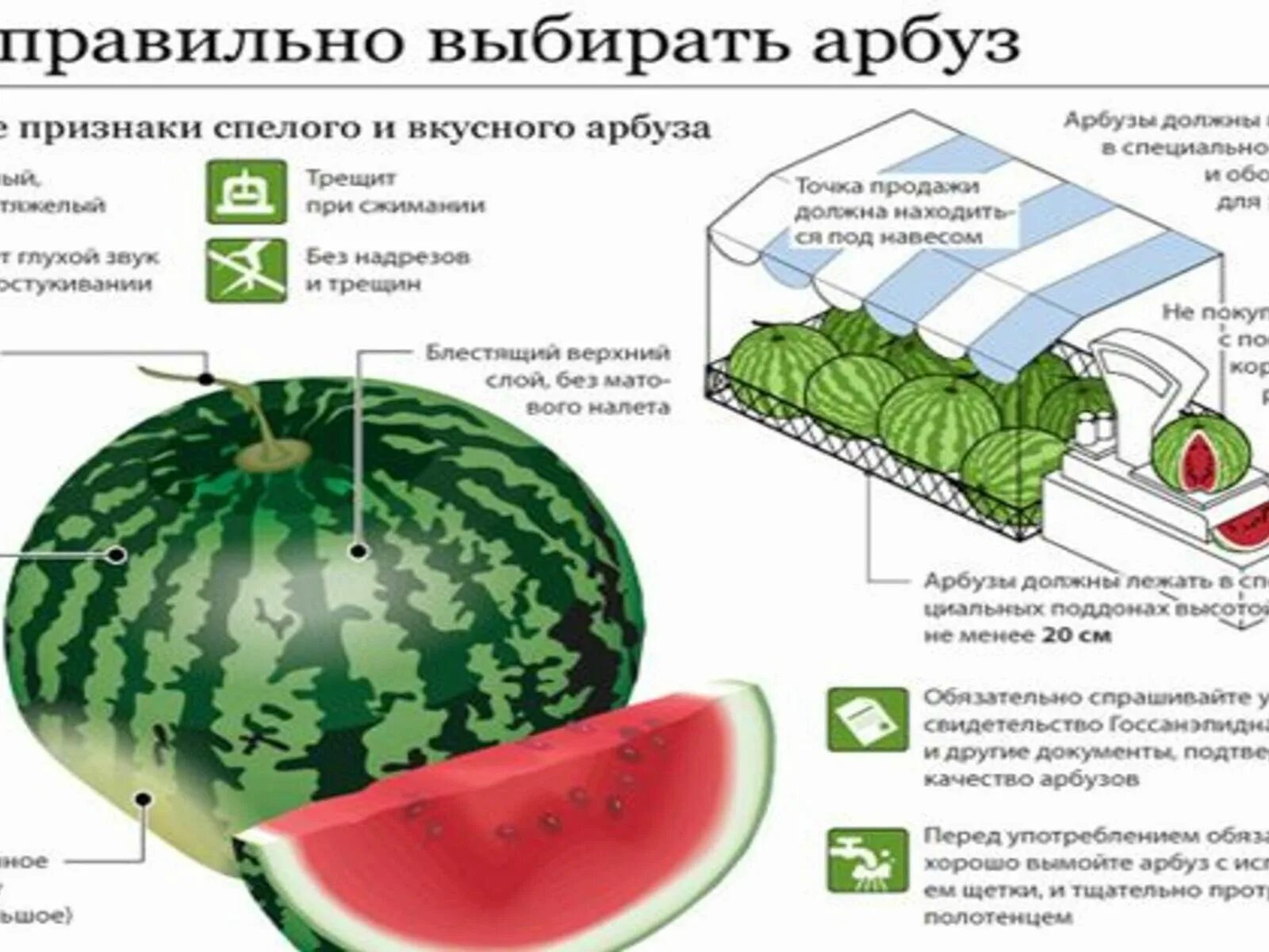 Как выбрать Арбуз. Как выбрать спелый Арбуз. Как правильно выбрать Арбуз. Как выбрать Арбуз сладкий и вкусный. Какой арбуз выбирать