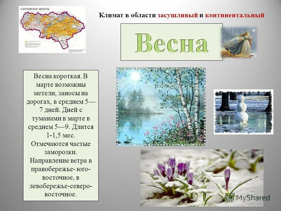 Периоды весны. Климат Саратовской области. Описание весны. Климат Саратова. Сообщение климат Саратовской области.