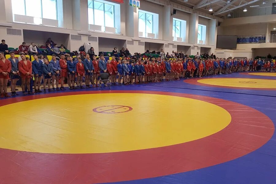 Ск юбилейный мытищи единоборства. Мытищи зал единоборств. Единоборства мытищи. Мытищи единоборства дети. Спортклуб rf мытищи.