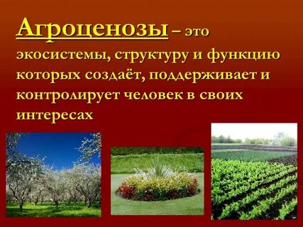 Агроценоз 7 класс