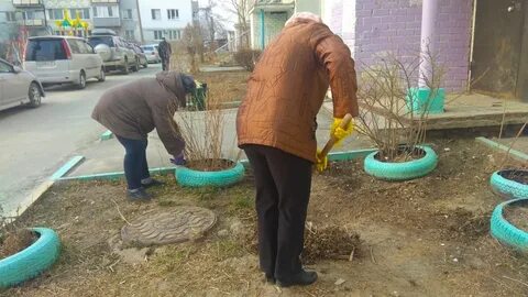 Уберем мы чисто двор