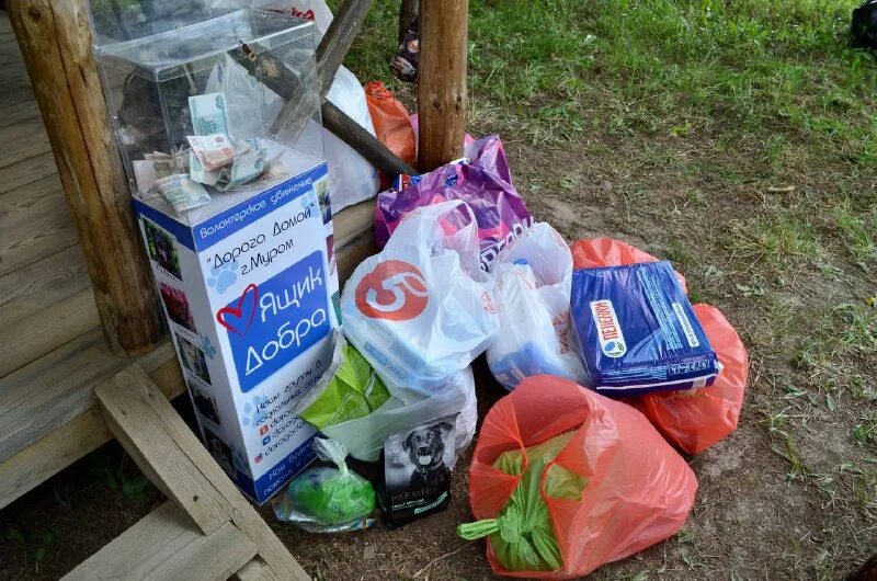 волонтерское движение муром. волонтерство во владимире. волонтерское движение муром. добровольческое движение вологодской области громов. агитпоход звездный муром.