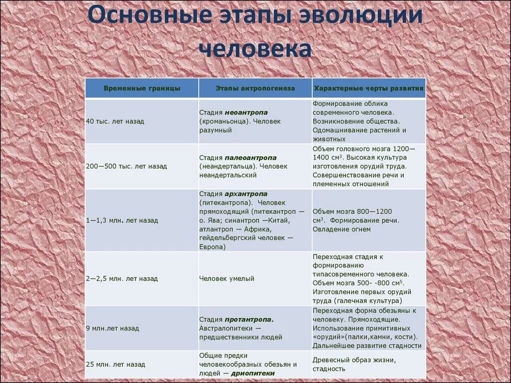 Название стадий человека. Основные стадии эволюции человека таблица по биологии 8 класс. Таблица основные этапы антропогенеза таблица 11 класс. Таблица по биологии 9 класс основные стадии эволюции человека. Основные этапы эволюции человека таблица 8 класс биология.