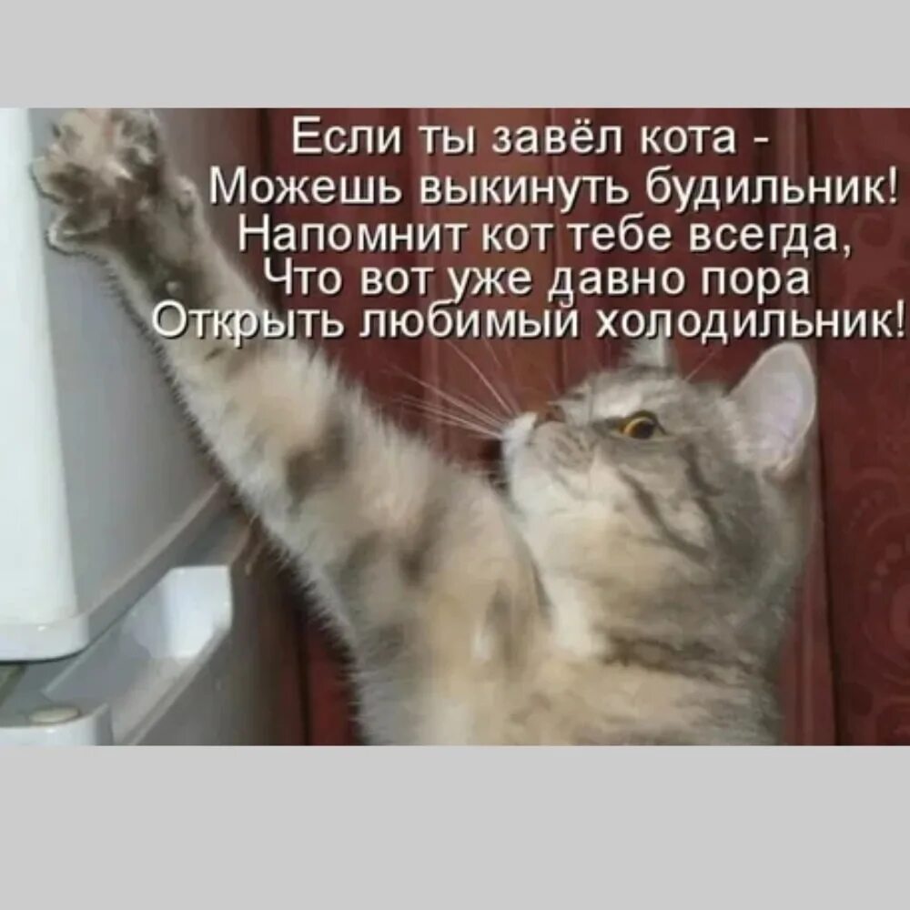 Ты меня заводишь и хочешь