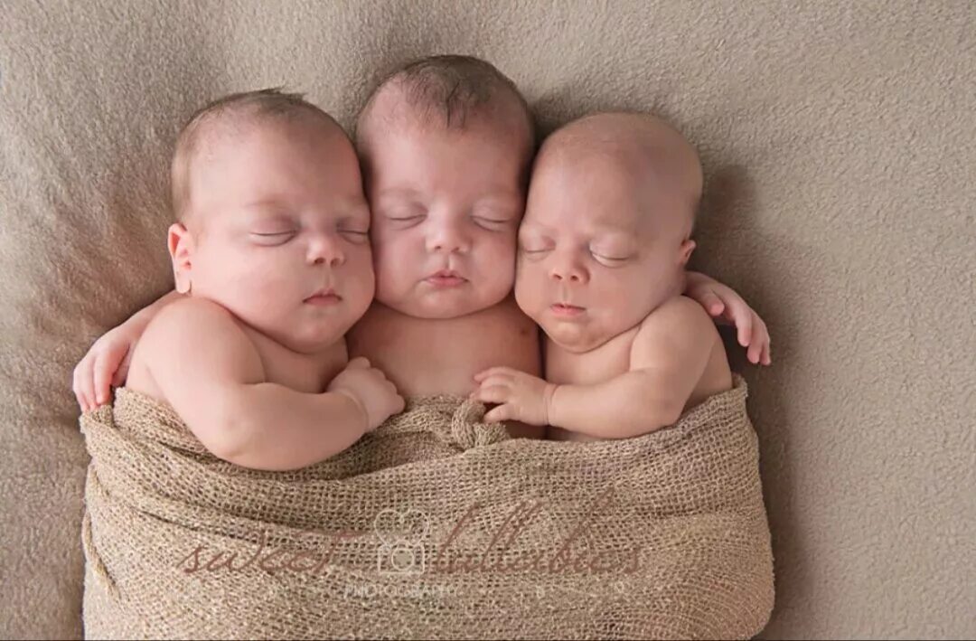 Тройняшки малыши. Двойня. Тройня. Однояйцевые тройняшки. У вас тройня.